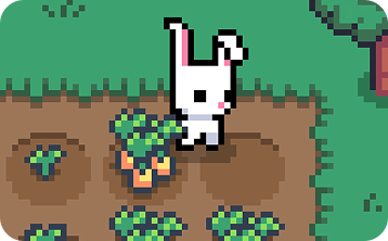 Bunny Farm
